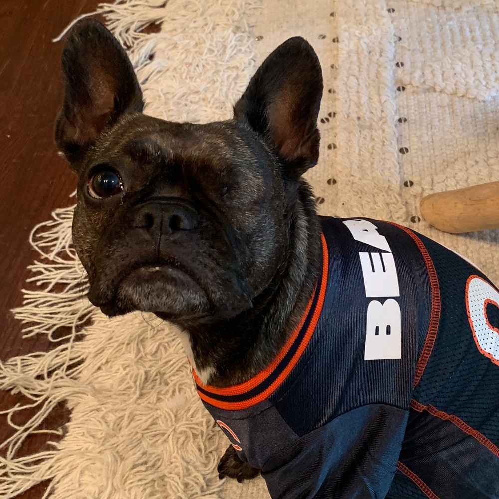 Meet your Posher, Molly